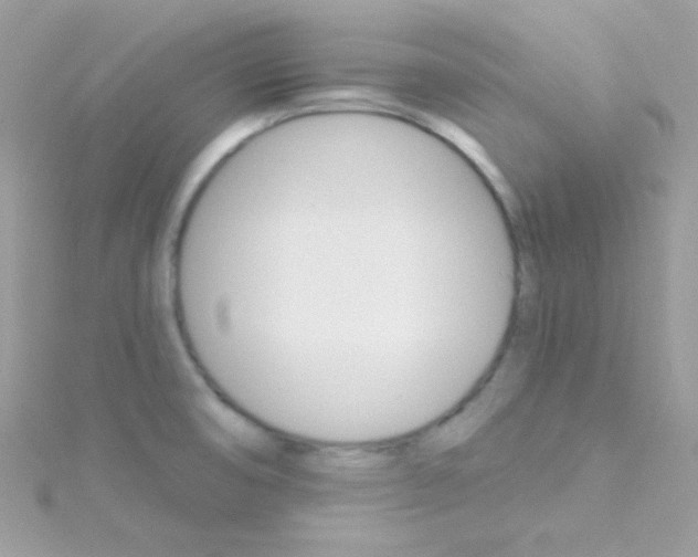 X0000114401474200911271508