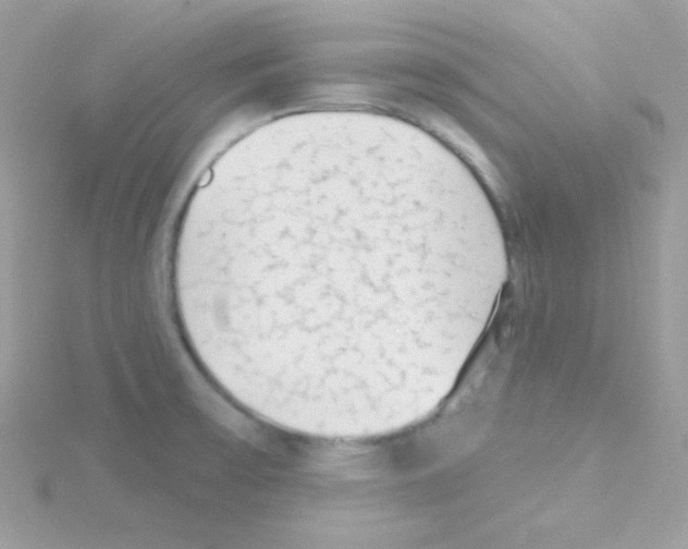 X0000114401475200911271508