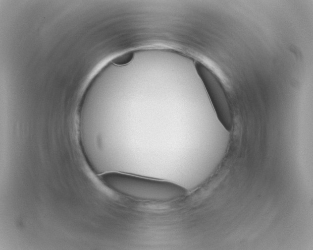 X0000114401476200911271508