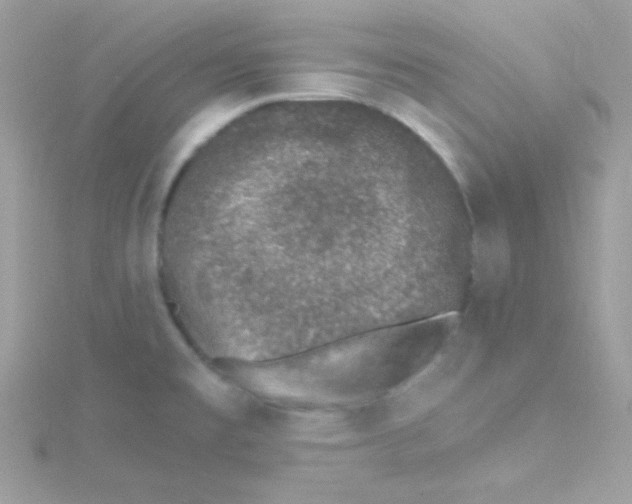 X0000114401477200911271508