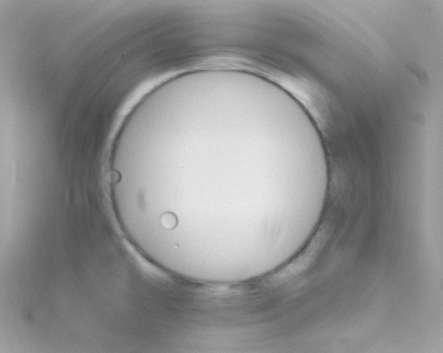 X0000114401478200911271508