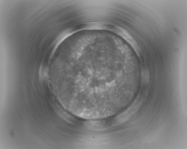 X0000114401481200911271508