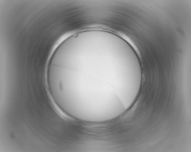 X0000114401482200911271508