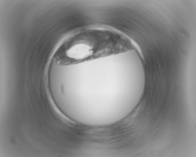 X0000114401483200911271508