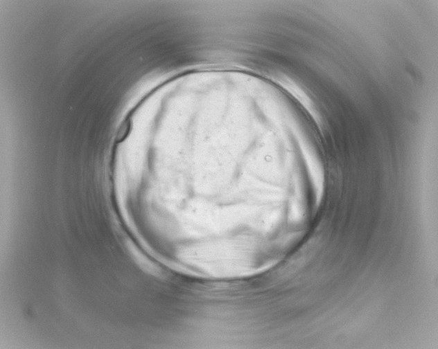 X0000114401485200911271508