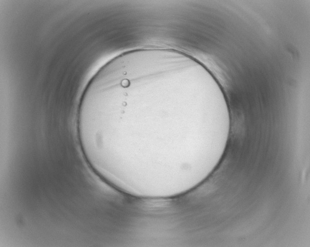 X0000114401486200911271508