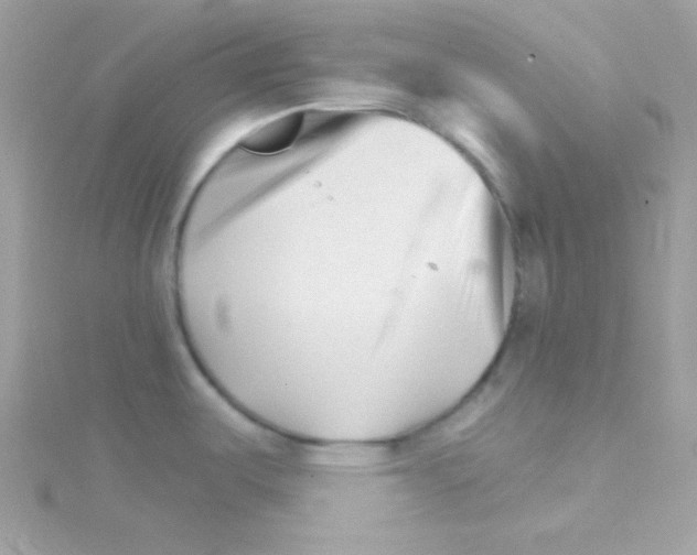 X0000114401487200911271508