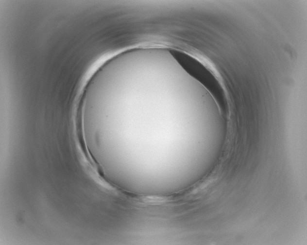 X0000114401488200911271508