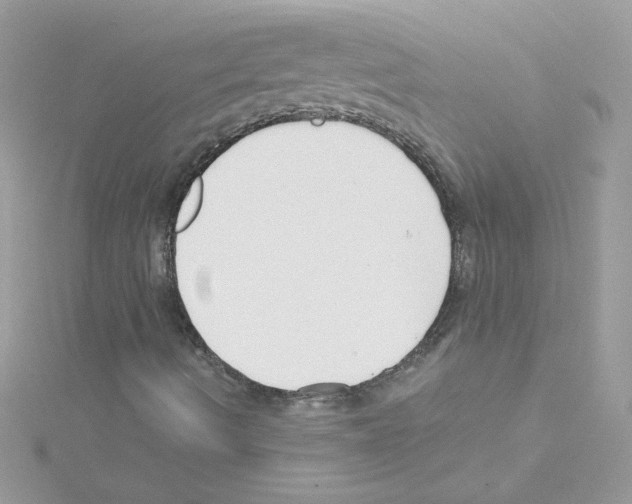 X0000114401490200911271507