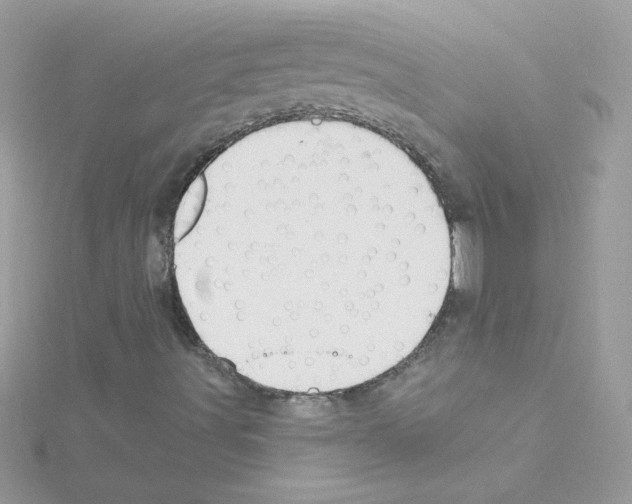 X0000114401491200911271507