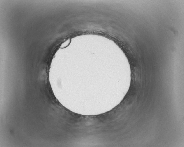 X0000114401493200911271507