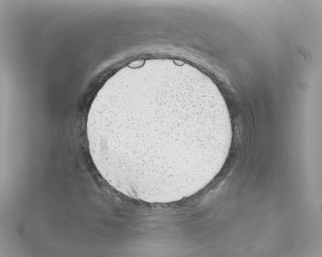 X0000114401494200911271507