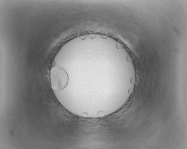 X0000114401495200911271507