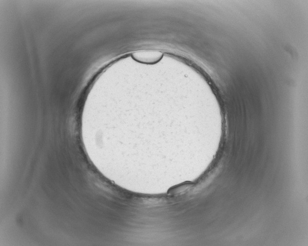 X0000114401501200911271508