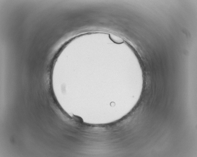 X0000114401503200911271508