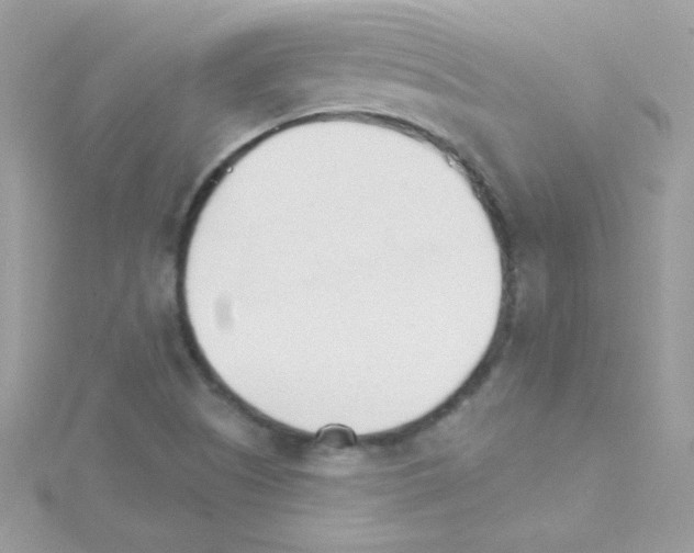 X0000114401505200911271508