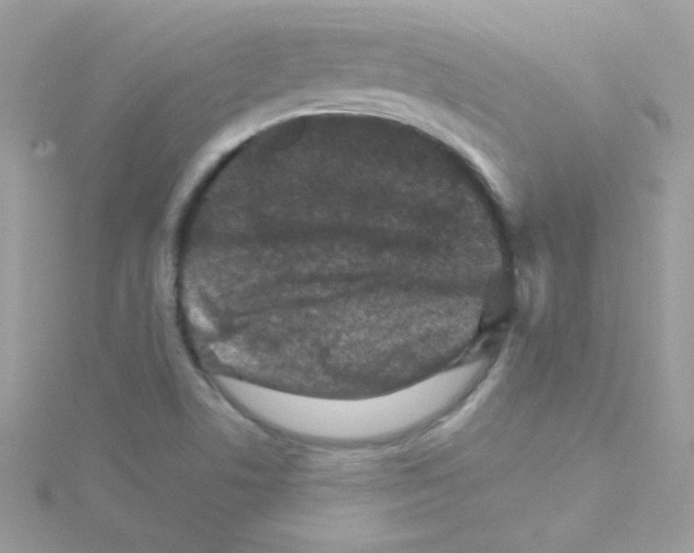 X0000114401506200911271508