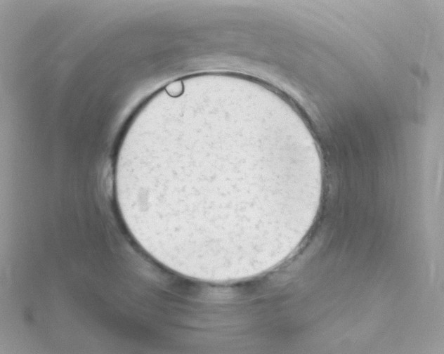 X0000114401509200911271508