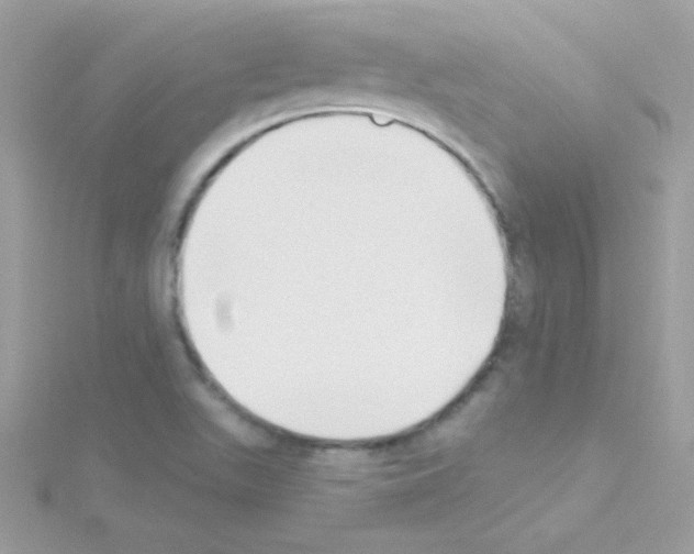 X0000114401511200911271508