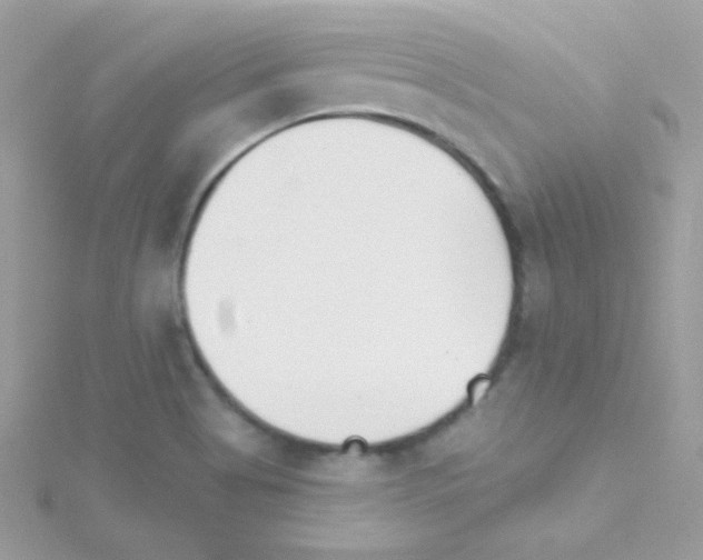 X0000114401513200911271508