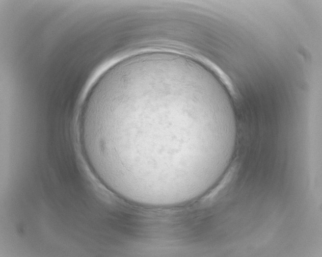 X0000114401514200911271508