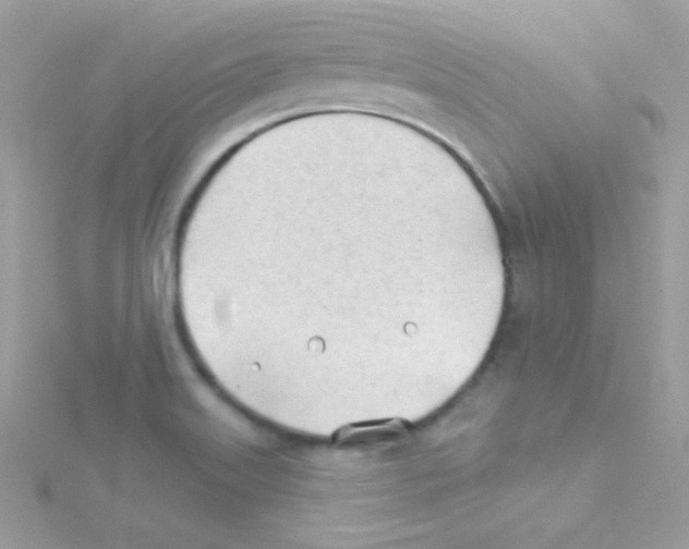 X0000114401515200911271508