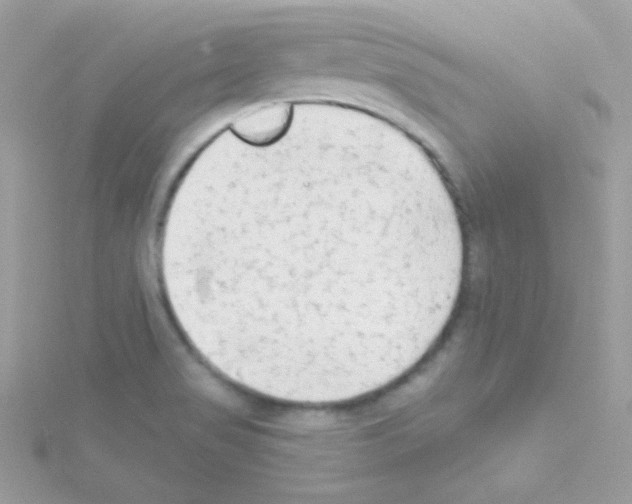 X0000114401517200911271508