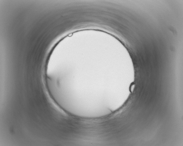 X0000114401518200911271508