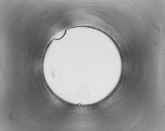 X0000114401521200911271508