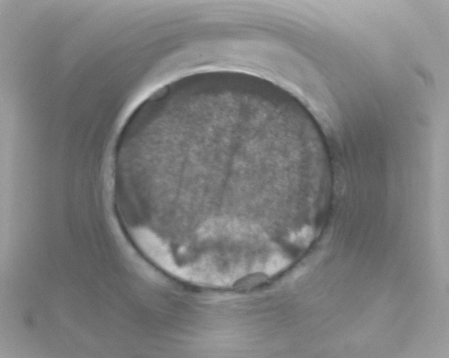 X0000114401522200911271508