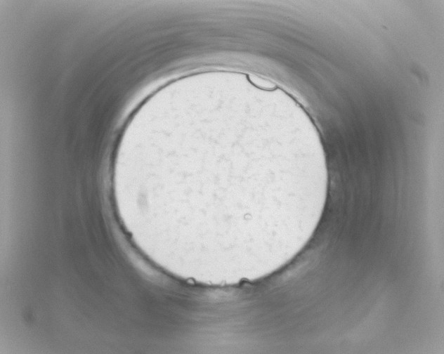 X0000114401523200911271508