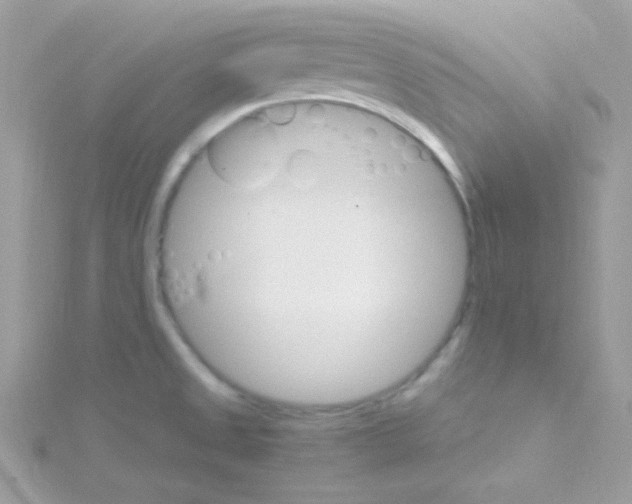 X0000114401525200911271508