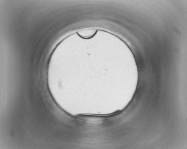 X0000114401526200911271508