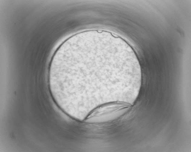 X0000114401527200911271508