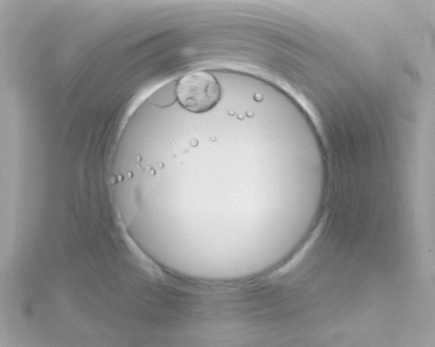 X0000114401529200911271508