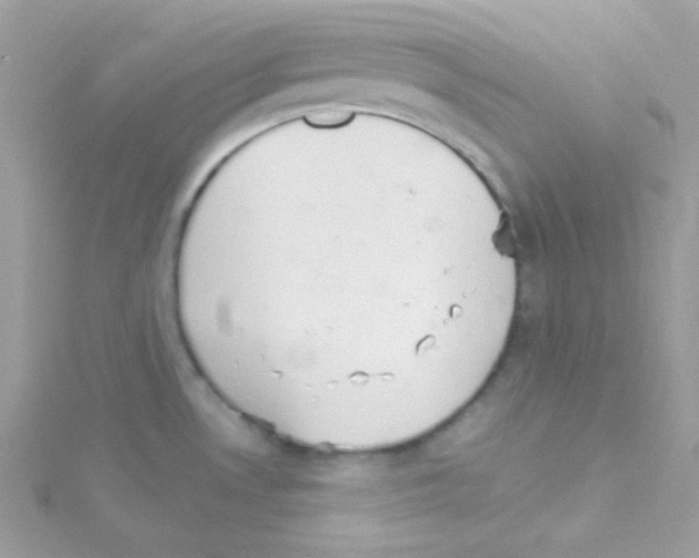 X0000114401530200911271508