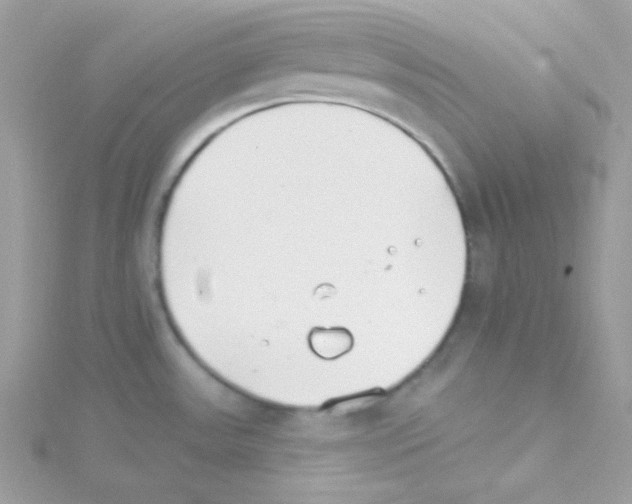 X0000114401531200911271508