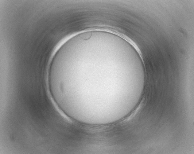 X0000114401533200911271508