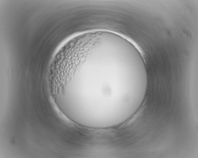 X0000114401534200911271508