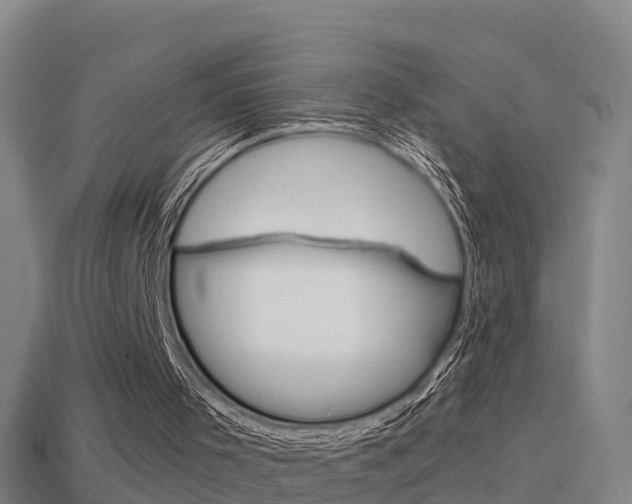 X0000114410001200910161041
