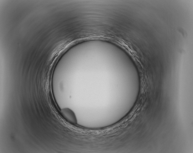 X0000114410002200910161041