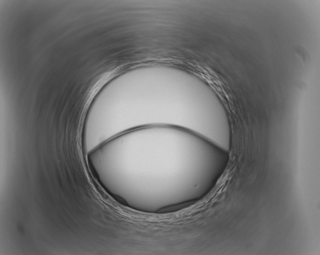 X0000114410003200910161041