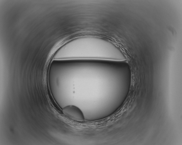 X0000114410004200910161041