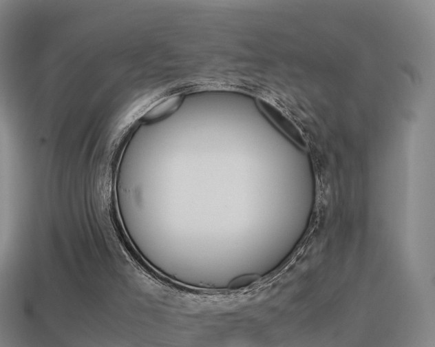 X0000114410005200910161041
