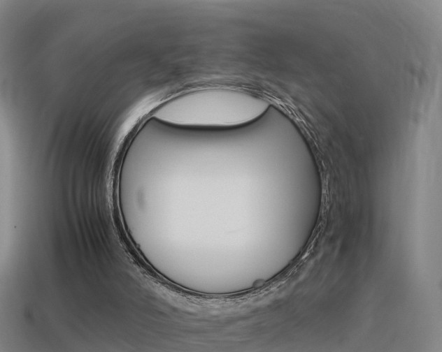X0000114410006200910161041