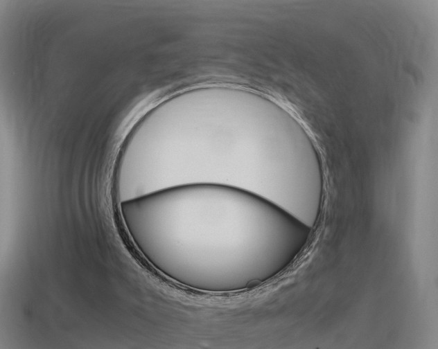 X0000114410007200910161041