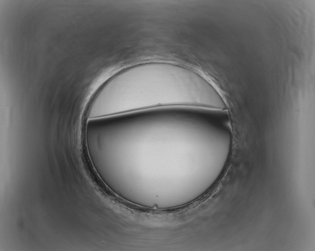 X0000114410008200910161041