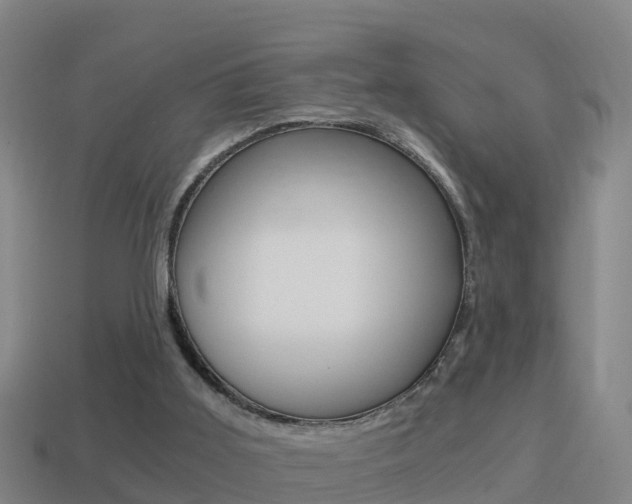 X0000114410011200910161041