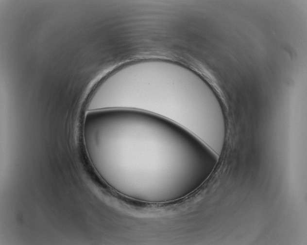 X0000114410012200910161041