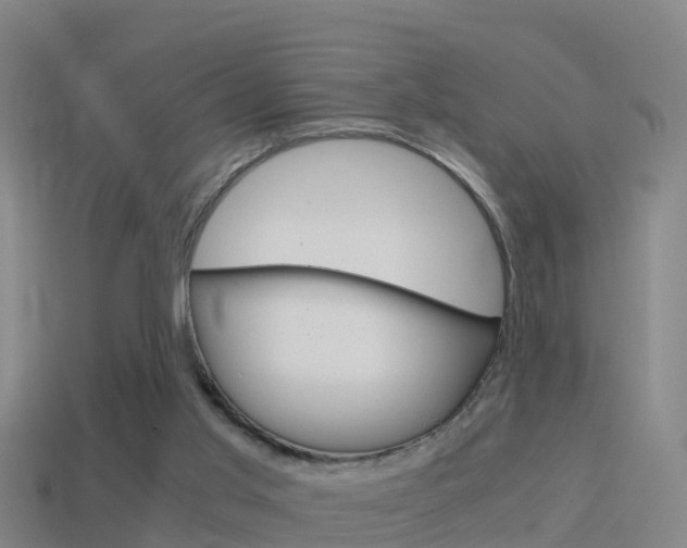 X0000114410013200910161041